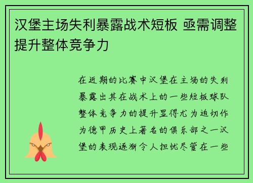 汉堡主场失利暴露战术短板 亟需调整提升整体竞争力